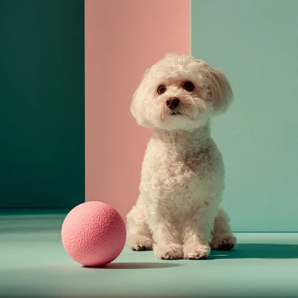 Collection image for: Pets