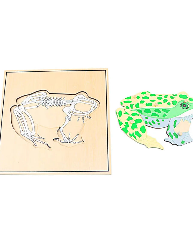 Wooden Skeleton Puzzle