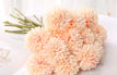 Light Orange / 3Pcs