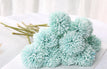 Blue / 3Pcs