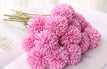 Rose Red / 3Pcs