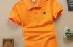 Orange / China Mainland / 12T