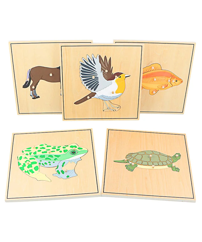 Wooden Skeleton Puzzle