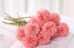 Light Red / 3Pcs