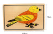 bird-cf