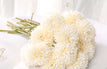 Beige / 3Pcs