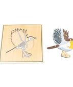 bird
