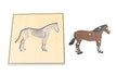 horse