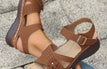 Light Brown / 37