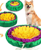 Yellow and Purple