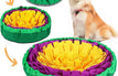 Yellow and Purple