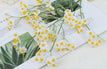 white yellow