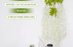 White / 1 pc