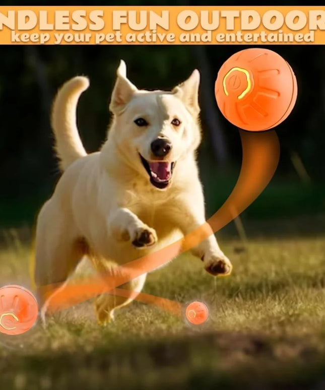 Electric Amusement Pet Ball