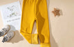Yellow / 120(5 Year)