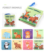 forest animals