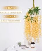 Champagne