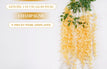 Champagne / 1 pc