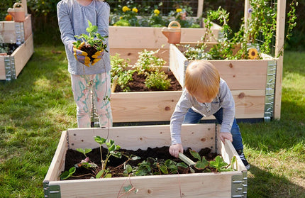 Garden Original Wooden Planting Boxes Framed Beds Vegetable Plant