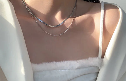 2026 Double Layer Snake Clavicle Chain Necklace