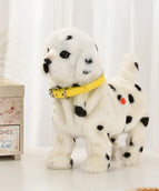 Dalmatian