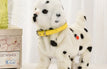 Dalmatian