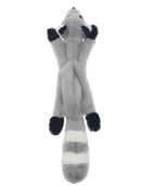 Raccoon