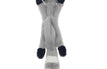 Raccoon