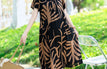 color 43 / 6XL