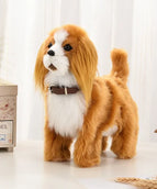 Cavalier King Charle