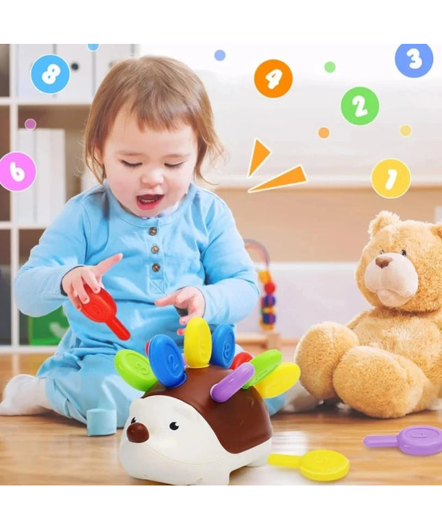 Sensory Hedgehog Toys