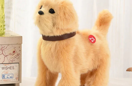 Electric Pet Dog Voice Control