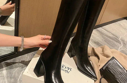 Pointed Toe High Boots