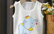 Elephant / 12M