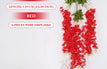Red / 1 pc