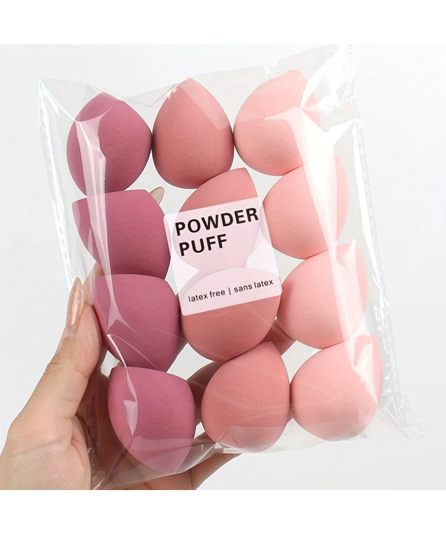 12PCS Sponges