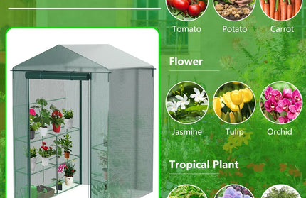 Greenhouse for Outdoors