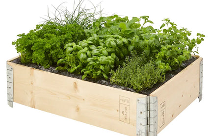 Garden Original Wooden Planting Boxes Framed Beds Vegetable Plant