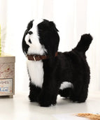 Sheepdog