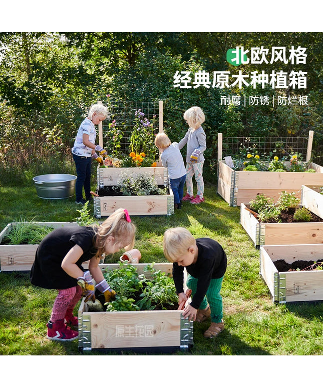 Garden Original Wooden Planting Boxes Framed Beds Vegetable Plant
