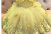 Image Color 6 / child-7
