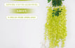 Green / 1 pc