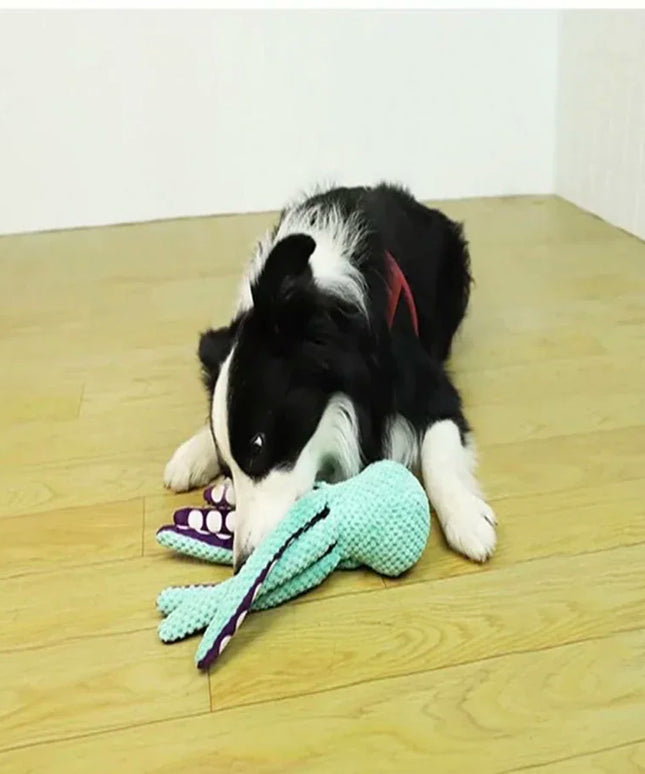 Pet plush octopus toy