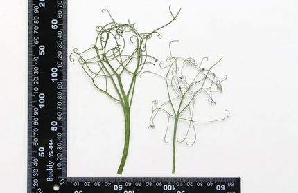 6-14cm/12pcs flower makeup jewelry decor