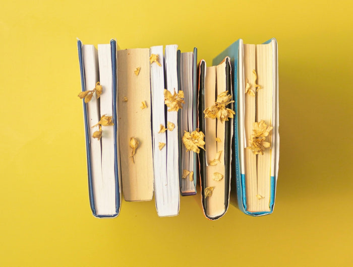 <h2>A World of Stories Awaits</h2>